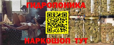 таблы Ачхой-Мартан