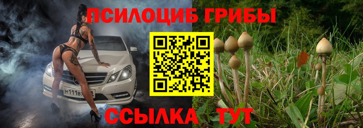 Галлюциногенные грибы GOLDEN TEACHER  Вход с VPN  Барнаул 