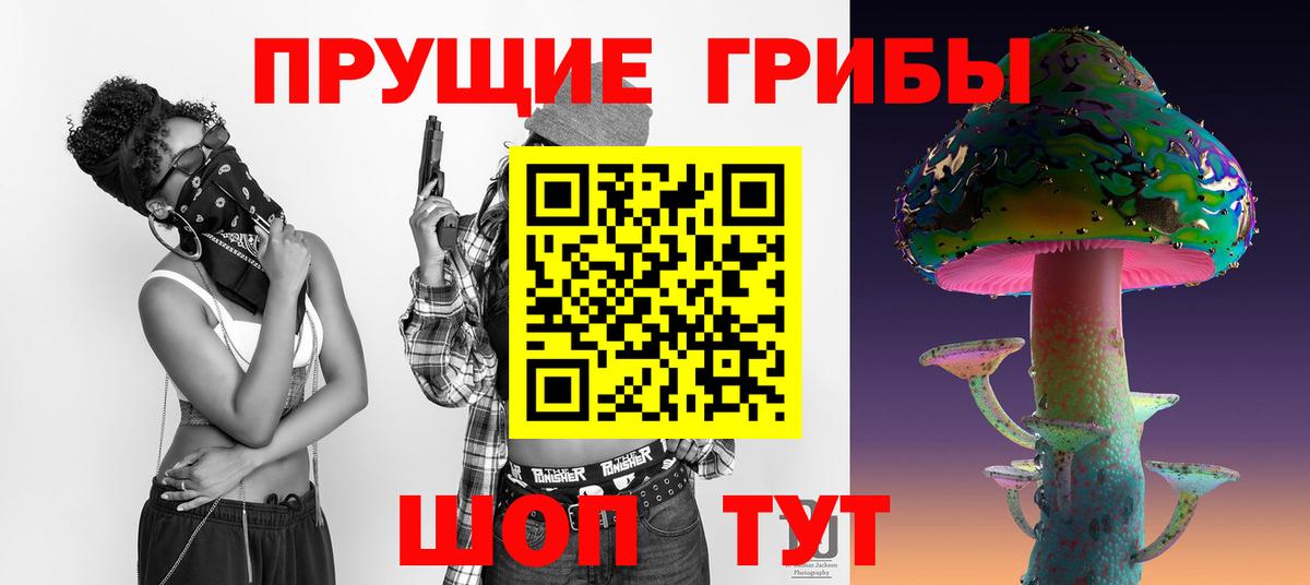 Псилоцибиновые грибы Psilocybine cubensis Барнаул